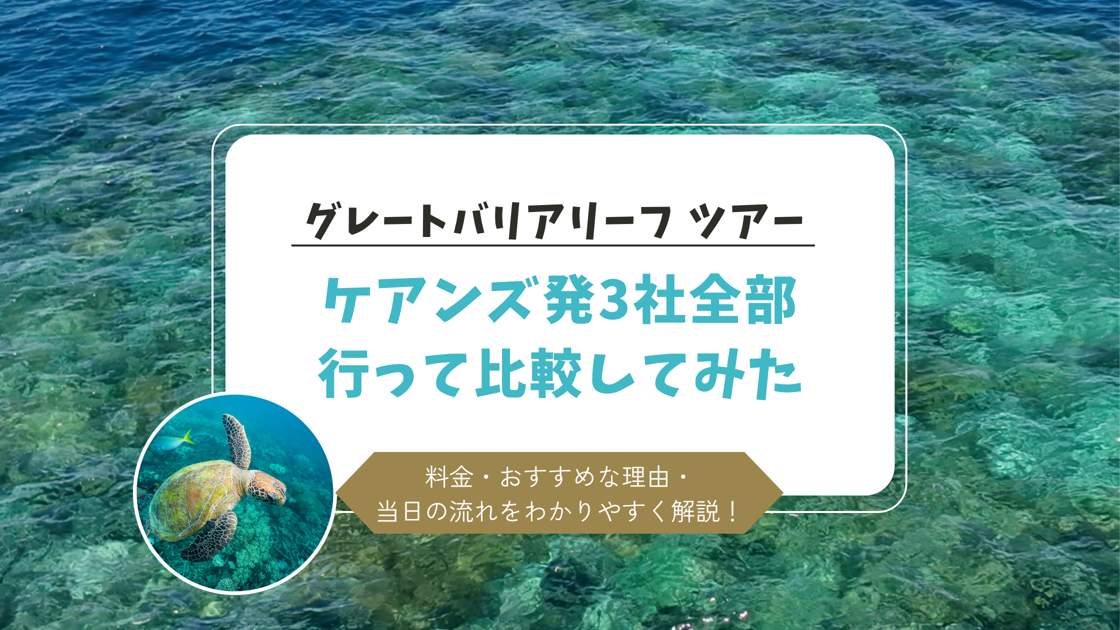 グレートバリアリーフツアー　3社比較　アウターリーフ