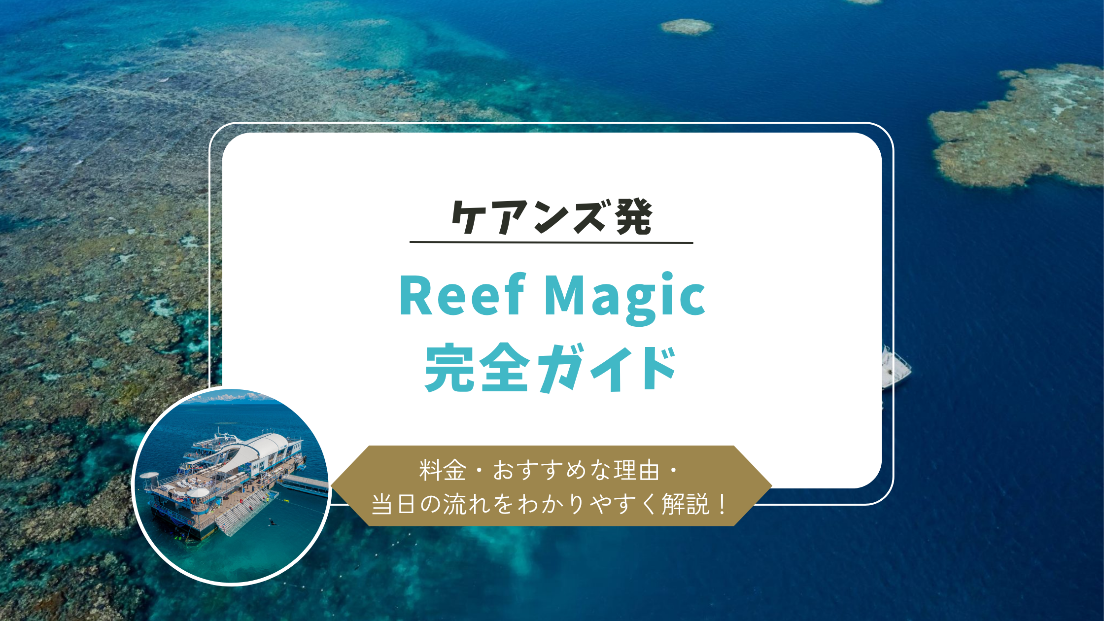 ReefMagic ツアー完全ガイド