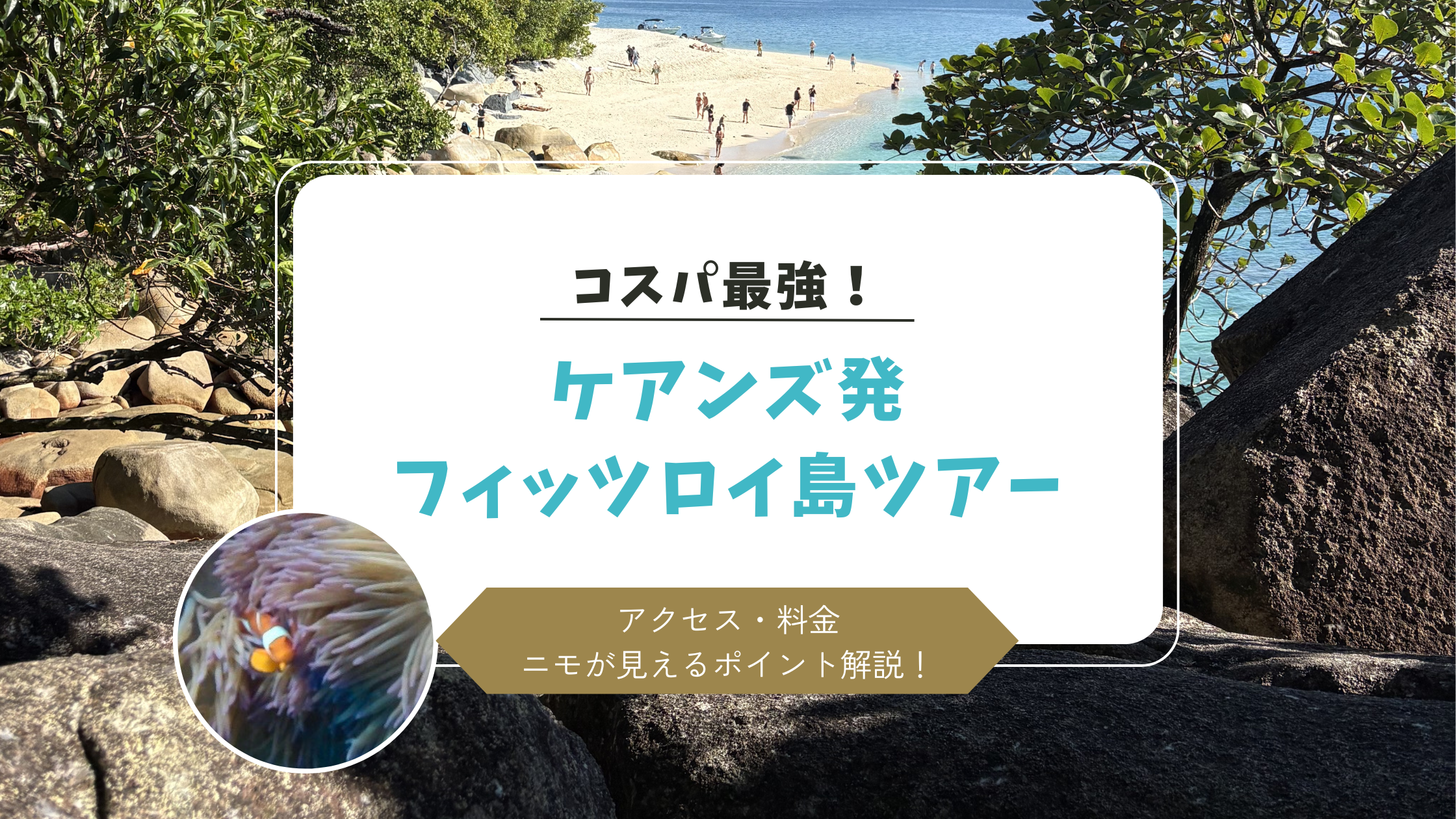 ケアンズから日帰りフィッツロイ島ツアー