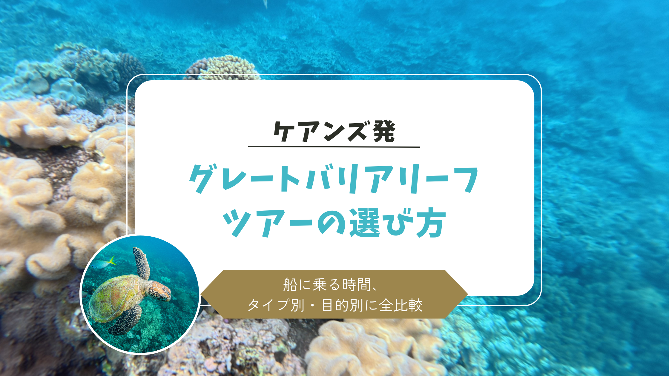 グレートバリアリーフツアーの選び方